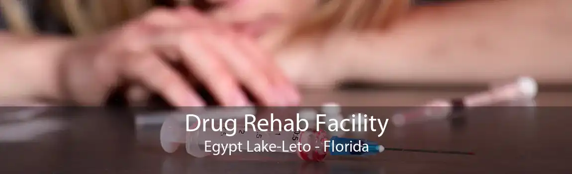 Drug Rehab Facility Egypt Lake-Leto - Florida